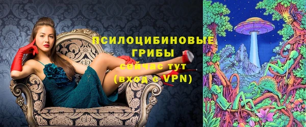 крисы Баксан