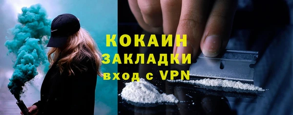 крисы Баксан