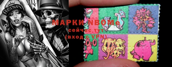 крисы Баксан