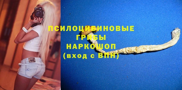 крисы Баксан