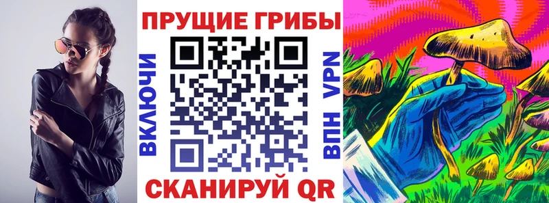 Галлюциногенные грибы Psilocybe  это наркотические препараты  Усть-Катав 